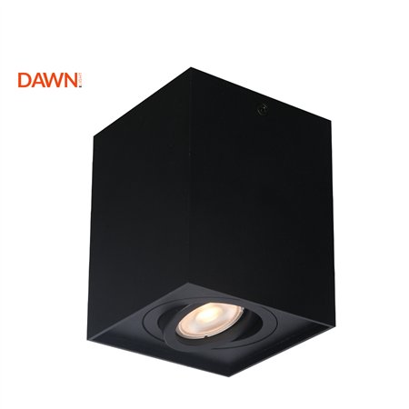 Plafonska spot lampa