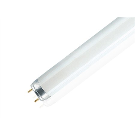 Fluo cev snage 10w sa tipom grla G13.