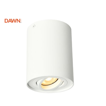 Plafonska spot lampa