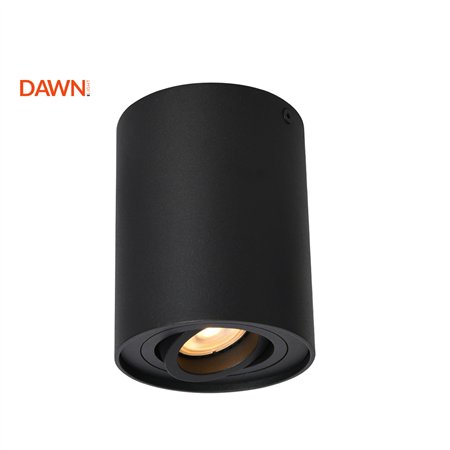 Plafonska spot lampa