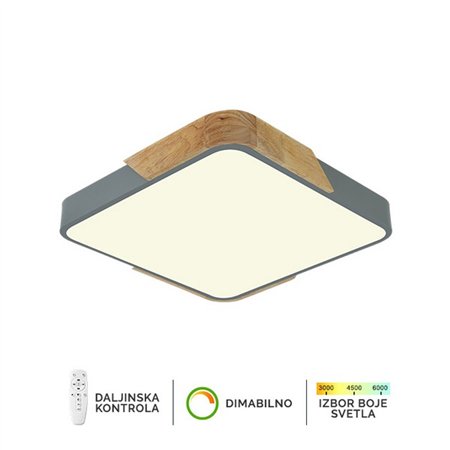 Plafonska lampa F2812-20C SV + DW