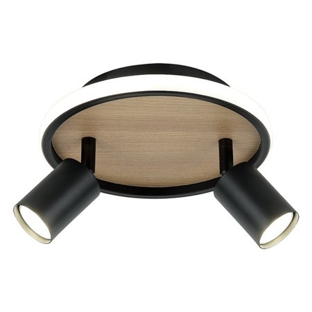 LED plafonska lampa FG150-2