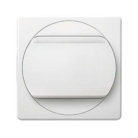E6095.00 Taster sklopka kartična EON 10A 250V~, bela