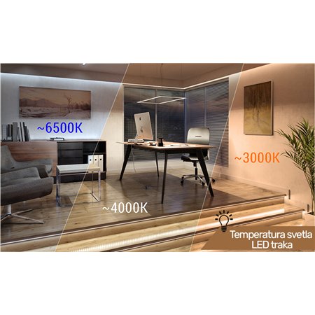 LED TRAKA 12V 4.8W/M 3000K IP33 (BB-2835S-60-WW, 5M, 8MM)
