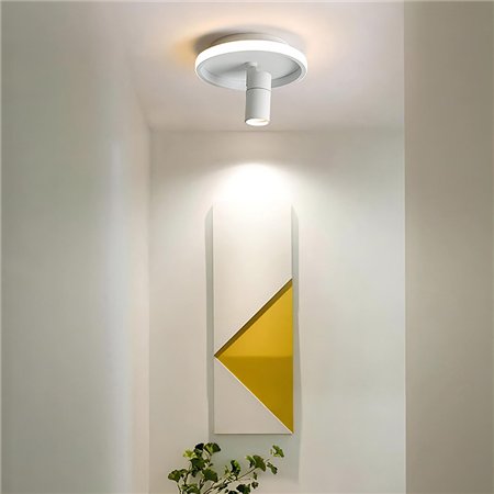 Plafonska LED svetiljka sa spot reflektorom.