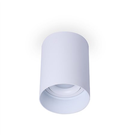 Plafonska svetiljka bele boje