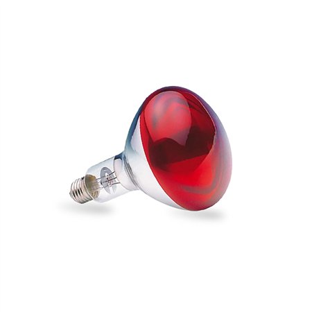 Infra red sijalica sa abažurom crvene boje